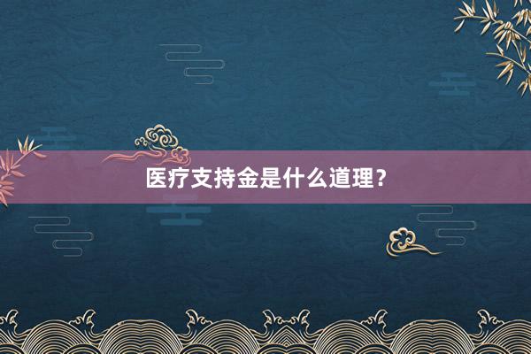 医疗支持金是什么道理？