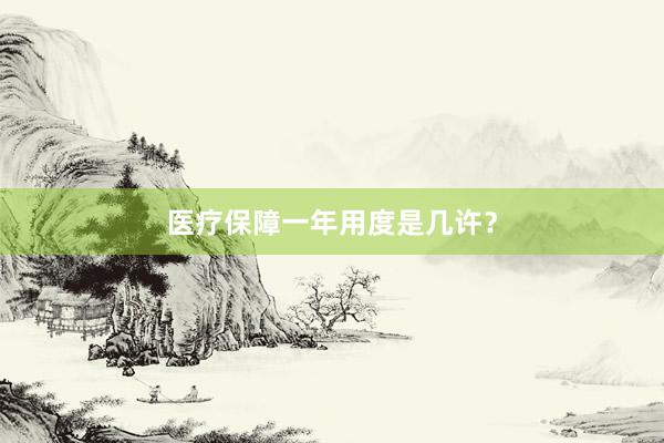 医疗保障一年用度是几许？
